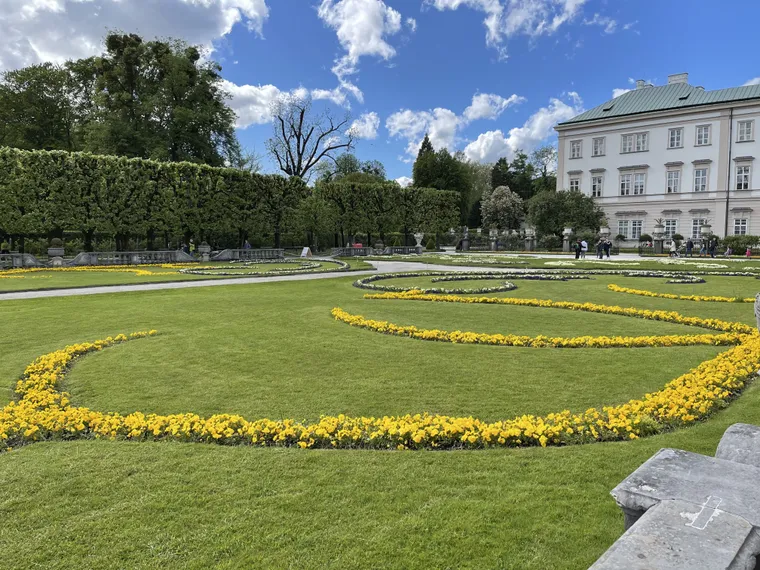 Blumen im Mirabellgarten