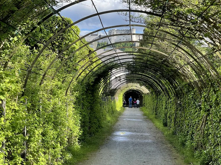 Mirabellgarten